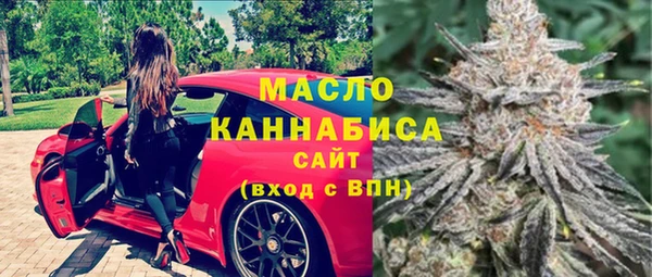 индика Осташков