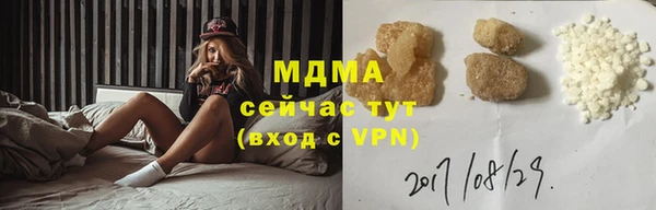 индика Осташков