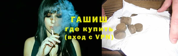 индика Осташков