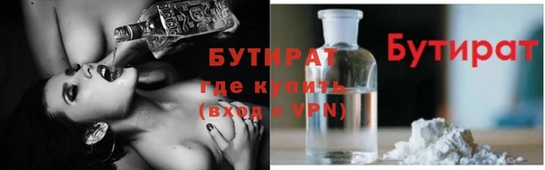 индика Осташков
