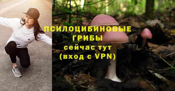 экстази Осинники