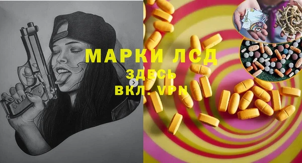 индика Осташков