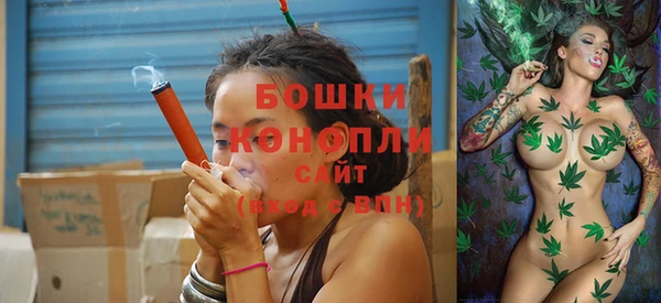 крисы Касимов