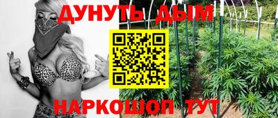 apvp Обнинск
