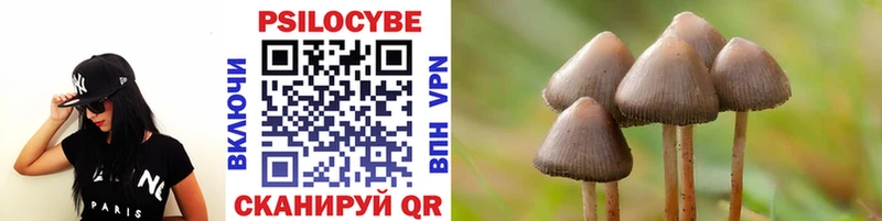 Псилоцибиновые грибы Psilocybine cubensis  что такое наркотик  OMG вход  Черногорск 