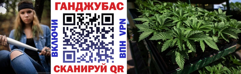 где купить наркоту  Черногорск  Канабис VHQ 